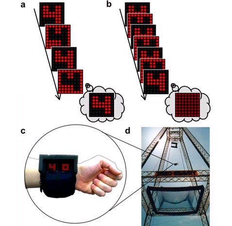 (a)           ,       ( ). (b)       ,   ()   . (c)   ,   . (d) SCAD    ,  ( David Eagleman,    gojump.com).