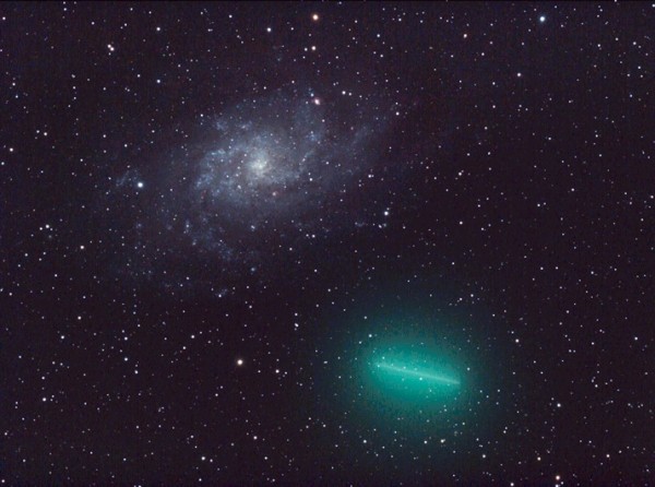  8P/     (M33)