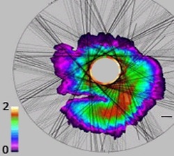     ,    MRO.     .   - 100  ( NASA/JPL-Caltech/University of Rome/SwRI).