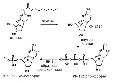    KP-1461    ,  KP-1212,      ( Koronis Pharmaceuticals).